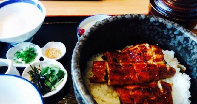 Japanese & Eel Shin Mise