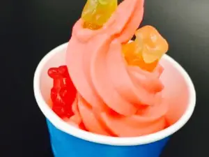 FroZone Frozen Yogurt