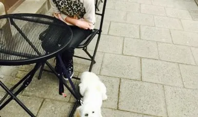 Breadalbane Bakery & Tearoom Ltd