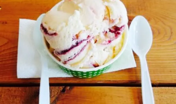 Scoops Ice Cream Shack