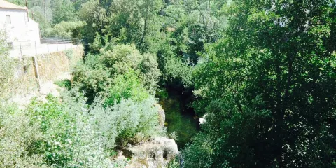 Restaurante Margarida I