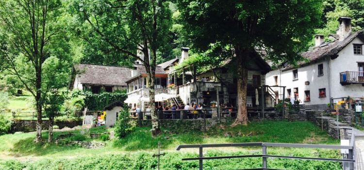 Ristorante La Froda