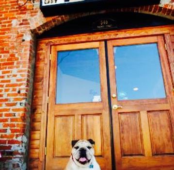 Rocco's Bar & Grill