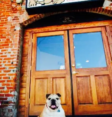 Rocco's Bar and Grill