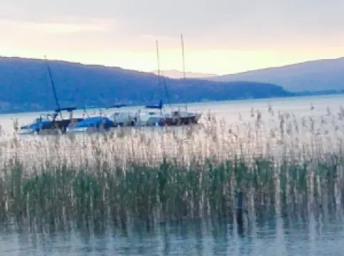 La Petite Fringale Snack Bar