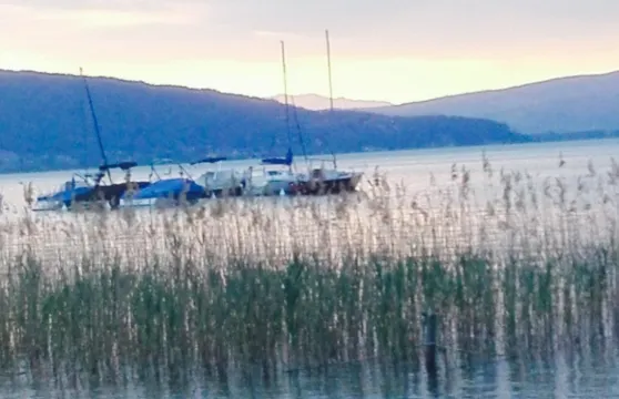 La Petite Fringale Snack Bar