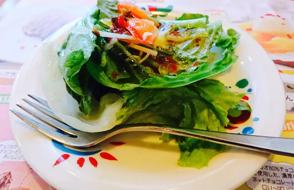 Sawayaka Nagaizumiten