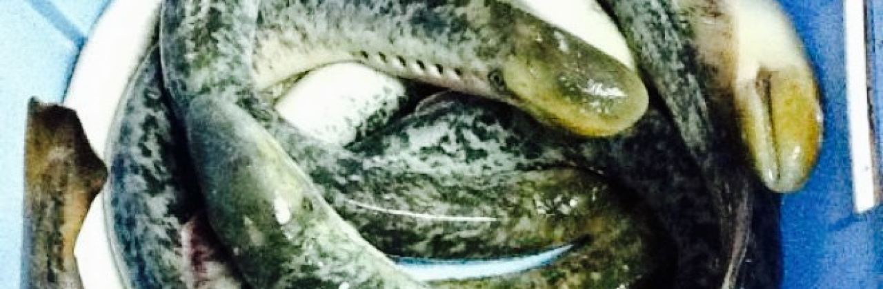 Restaurante Santa Isabel