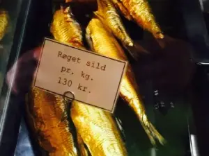 Hasle Rogeri