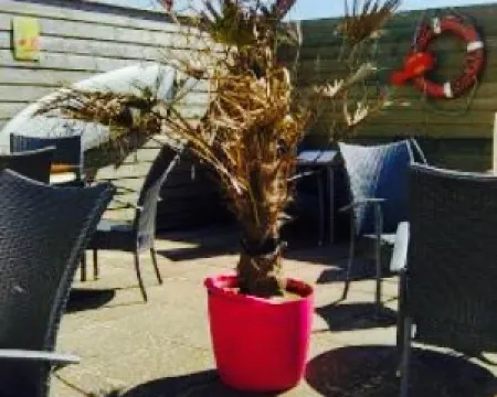 Strandpaviljoen Zuidpier