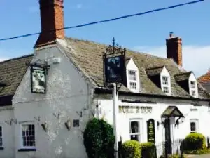 The Bull & Dog