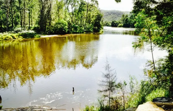 The Settlers Arms Inn