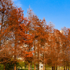 YU BAO WANG MIN NAN CHA LOU 여행 사진