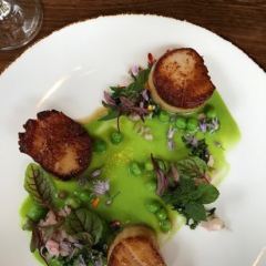 Blue Duck Tavern User Photo