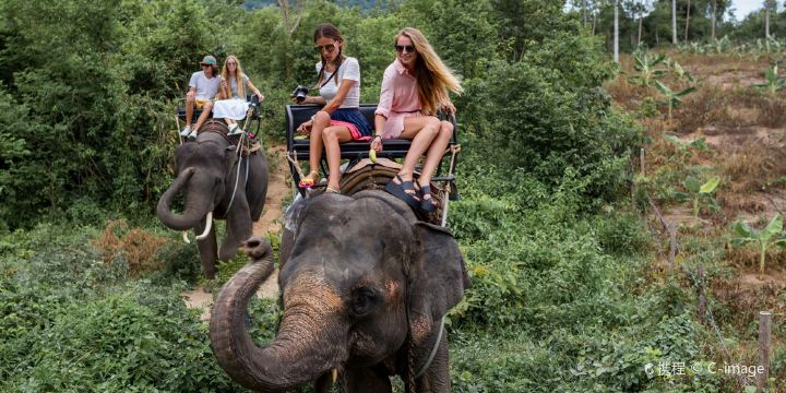 Ran-Tong Save & Rescue Elephant Centre