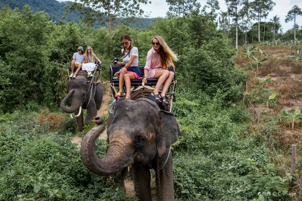 Hotels near Ran-Tong Save & Rescue Elephant Centre