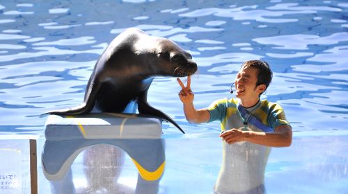 新江之島水族館