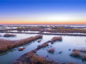 Gaoyou Lake Reed Wetland Park