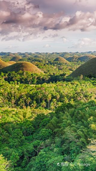 Cebu 1-day tour to Bohol Island: Chocolate Hills, Tarsier Sanctuary, Loboc River Cruise with Meal & Butterfly Garden