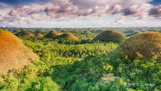 tour di un giorno a Bohol da Cebu: Chocolate Hills, Tarsier, fiume Loboc e Butterfly Garden