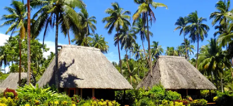 Hotels in Vanua Levu
