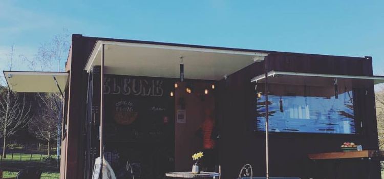 Red Bridge Coffee