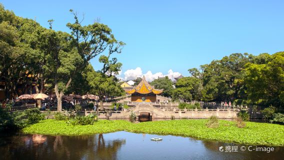 Private 1-Day Tour from Zhoushan: Mount Putuo Scenic Area and the 33-meter Nanhai Guanyin