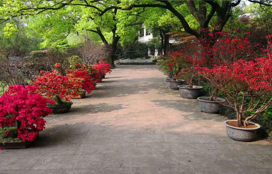 瀟湘奇石館