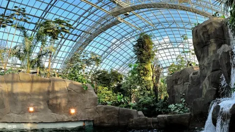 Paris Zoological Park attraction in Paris