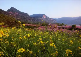 Qijiang Guojia Dizhi Gongyuan Cuiping Mountain Sceneic Area