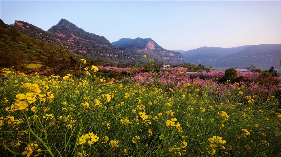 Qijiang Guojia Dizhi Gongyuan Cuiping Mountain Sceneic Area