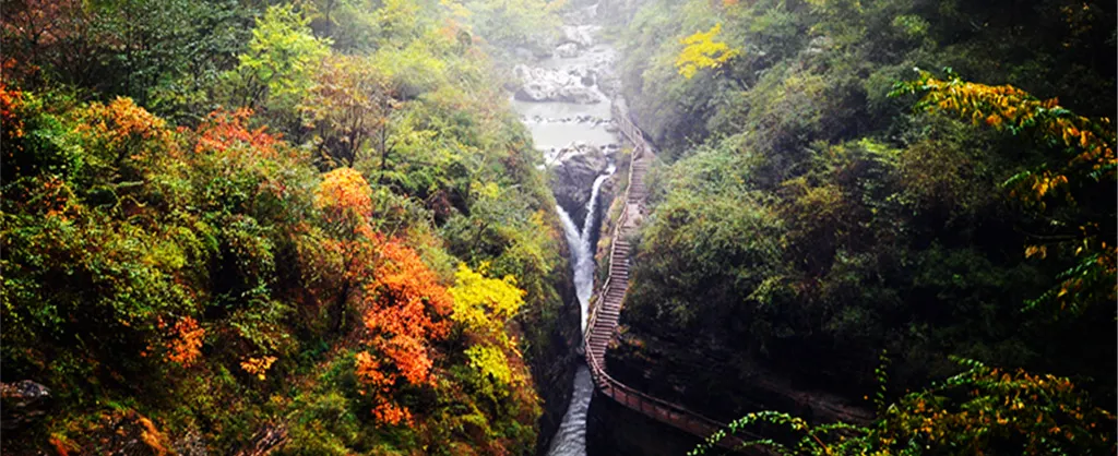 Fall Viewing Attractions