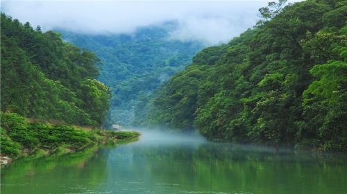 Mount Jiulong (Nine Dragons Mountain) National Forest Park