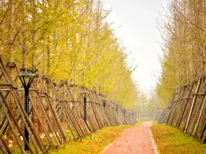 Туристический курорт Хэнин Сальян