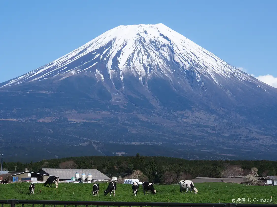 Các khách sạn gần Asagiri Plateau