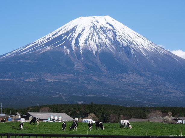 Road Station Asagiri Kogen