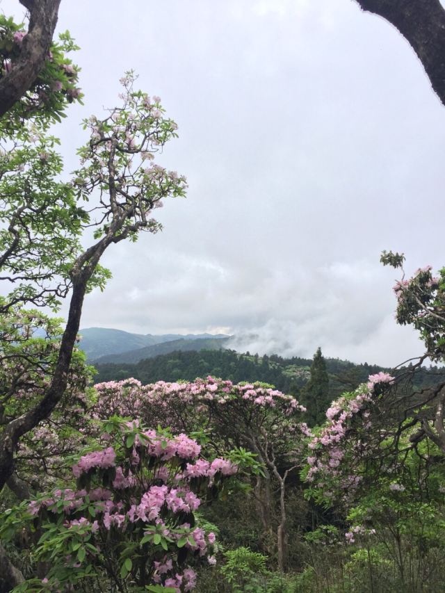 화딩 국가산림공원