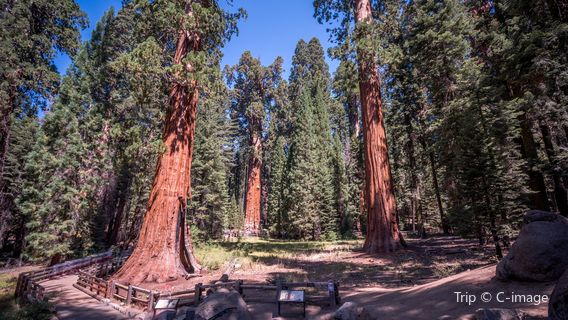 Big Basin Redwoods State Park