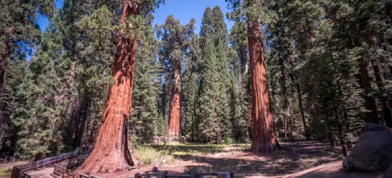 Hotels in Santa Cruz County