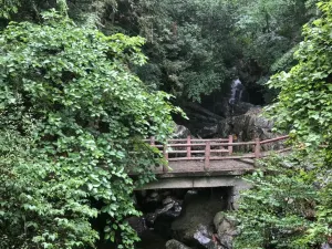 장룡백포(장룽바이푸)