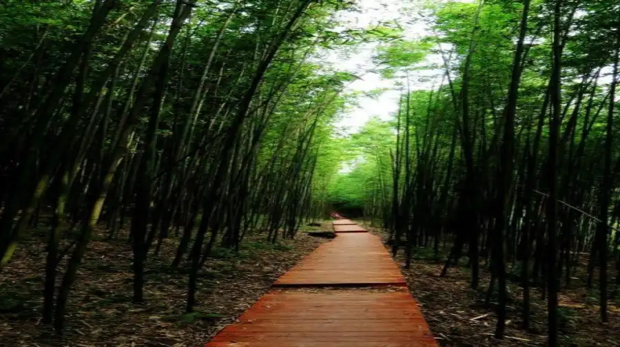 5_Jingyugou Scenic Resort, Xi'an