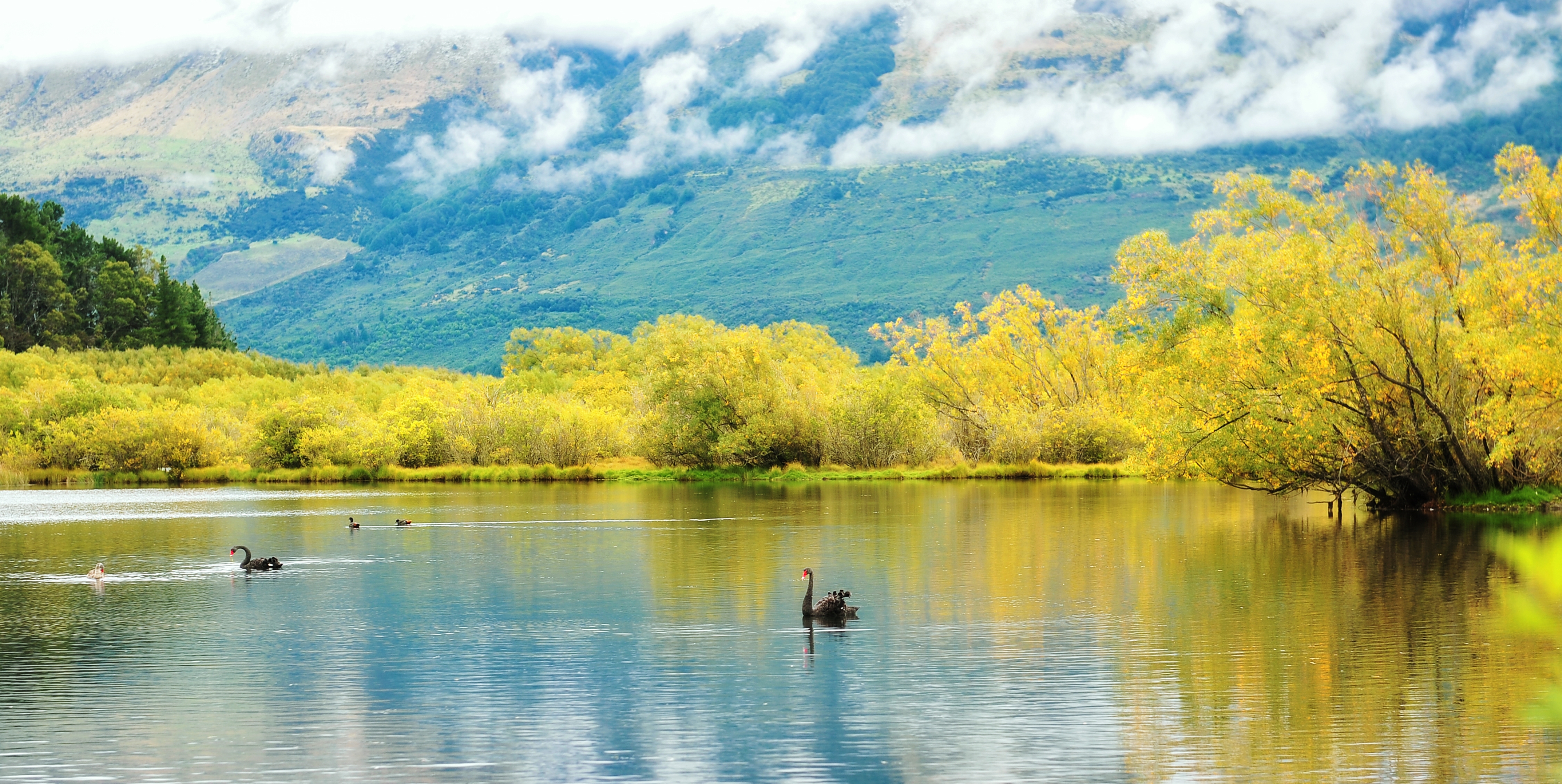 2025 Glenorchy Travel Guide: Must-see attractions, popular food, hotels, transportation routes (updated in July)