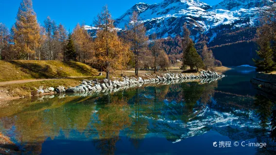 Alps and St. Moritz 1-day tour[Adjusted Itinerary with Chinese Driver and Guide]
