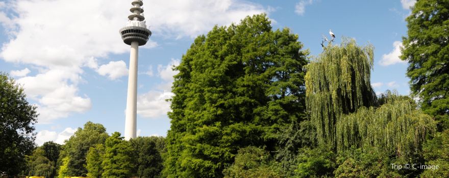 Luisenpark
