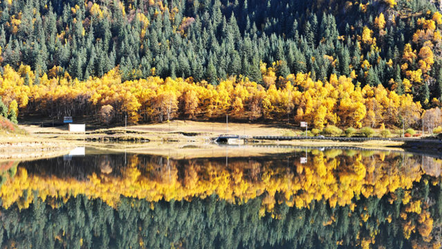 Xianmi National Forest Park