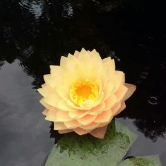 Sam LaGrassa's ảnh của người dùng