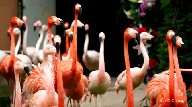 2_Seoul Zoo