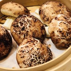 South Beauty ảnh của người dùng