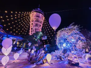 藤澤市熱門夜間人氣景點