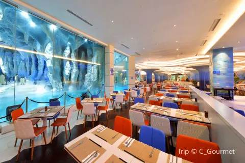 Emperor Penguin All Day Dining